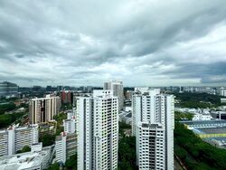 Blk 29 Ghim Moh Edge (Queenstown), HDB 3 Rooms #572743751